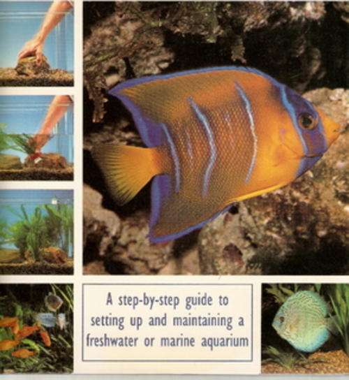 TROPICAL AQUARIUM FISH by JOHN DAWES(AHRD COVER)
