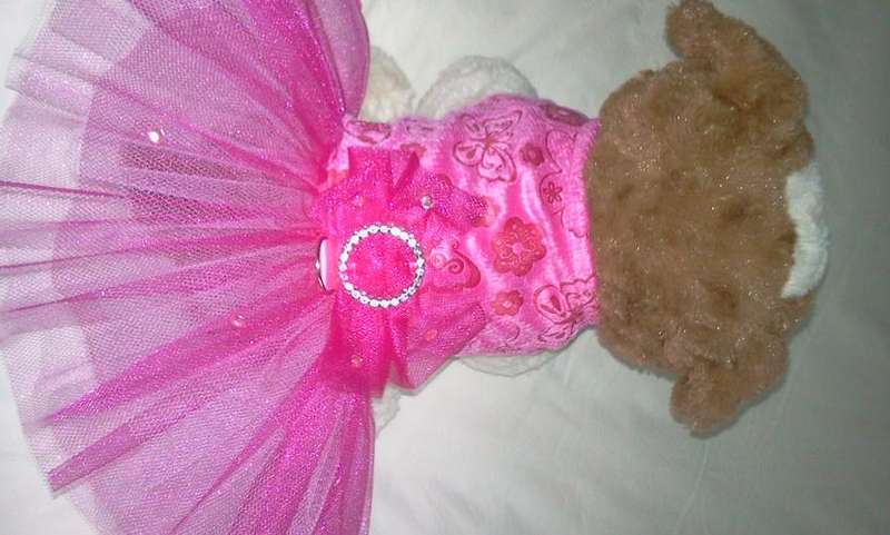 Bumble Bee's Tutu Dog dress - XS
