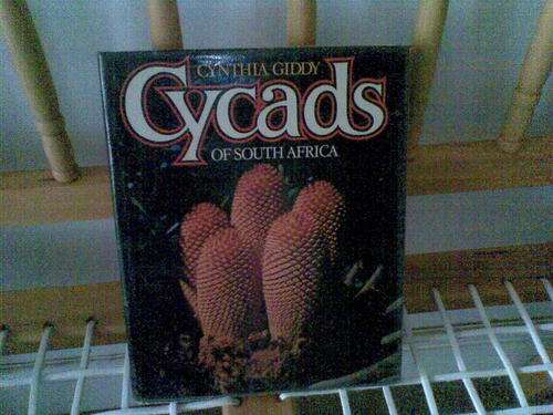 CYCADS OF SOUTH AFRICA / CYNTHIA GIDDY