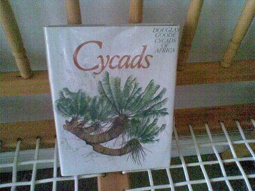 CYCADS OF AFRICA  - DOUGLAS GOODE