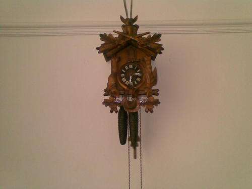 One day cuckoo clock