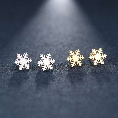 GORGEOUS!  100% Titanium Snow Flake Stud Earrings **R 270** (SILVER)