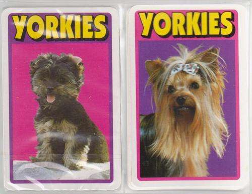 Cute Yorkies Playing Cards