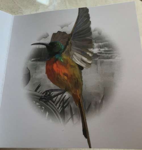 Lovely low mintage Colourised SA Mint Proof 2016 Silver R10 - Orange-breasted Sunbird