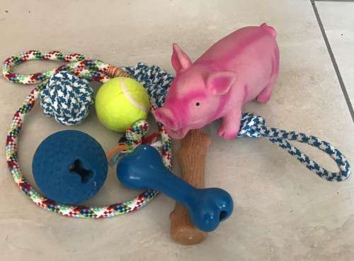 NICE SET OF NON-TOXIC DOGGIE TOYS