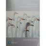 Personology From individual to ecosystem 5ft ed C.Moore, HG Viljoen...