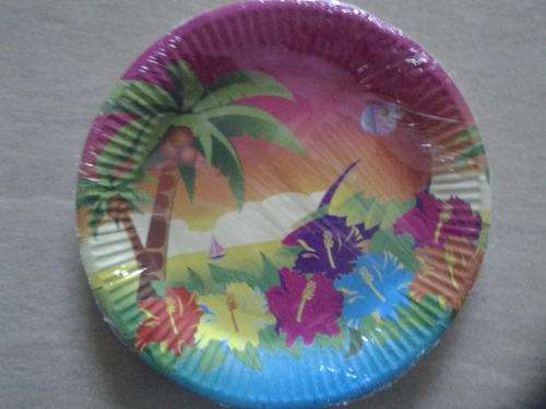 Hawaii party paper plates big (10 in pack)