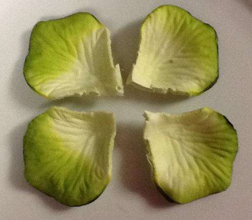 Green rose material petals- tinkerbell