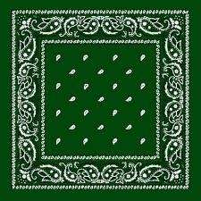 Green headband /  party bandana - perfect for cowboy party