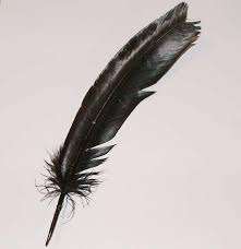 Black feathers +-20 in packet +-20cm, different lenghts