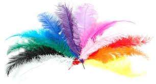 feathers Large - special order - 200 white, 200 black