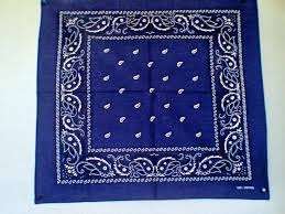 blue headband / bandana / neckscarf