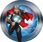 Thor kids party big paper plates (8)