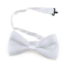 Wedding / concert / dress up - bow tie white