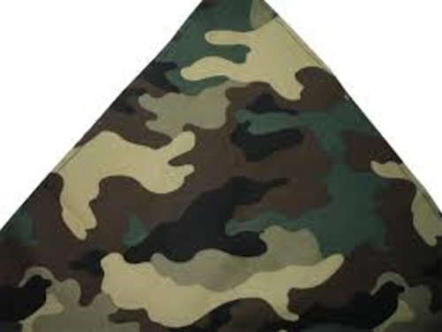 Army bandanna / headband / neck scarf