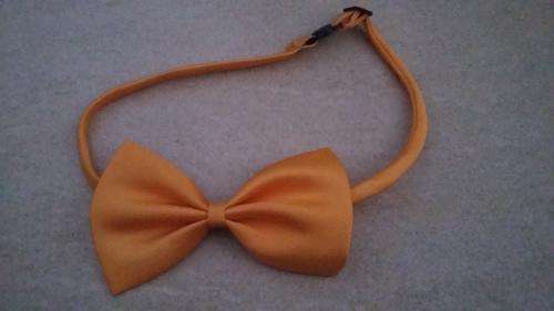 Wedding / concert / dress up - kids bow tie orange