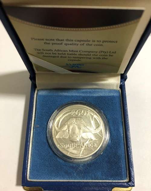 2001 Silver 10c South African Buffalo (6g)