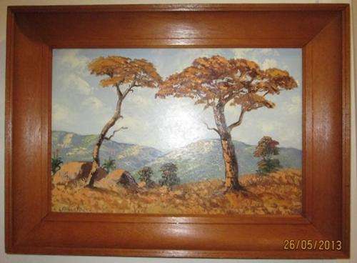 Les Albertyn, Oil, 30 x 45 cms, Landscape, "Acacia and Aloe Trees"