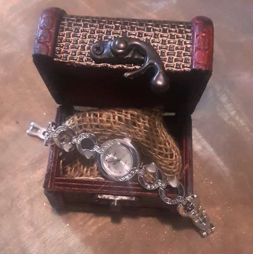 Beautiful Ladies Watch - Diva - Stunning Chrome Strap