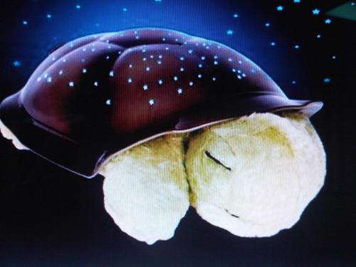Turtle night lamp with music. WHOLESALE PRICES TO THE PUBLIC!!!!!