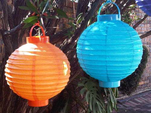 Battery operated paper lanterns. Fantastic for any occasion.