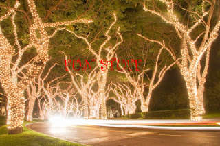FAIRY  LIGHTS 10 m. Inter-connectable white only. Buy 10 units, get the 11th unit free!!!