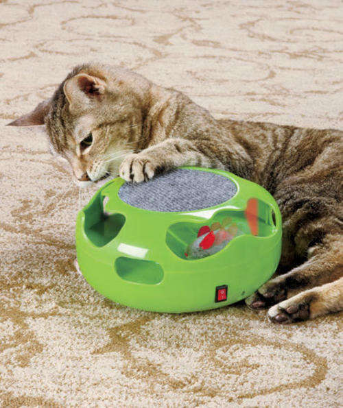 Catch The Mouse Awesome toy for your cat.