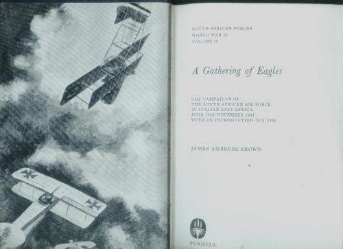 A Gathering of Eagles by James Ambrose Brown