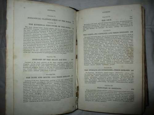 Very old antique Book 1863 ? The Horse