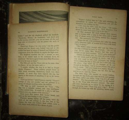 Florence Nightingale: The Wounded Soldier`s Friend Hardcover 1880 -1900 Circa