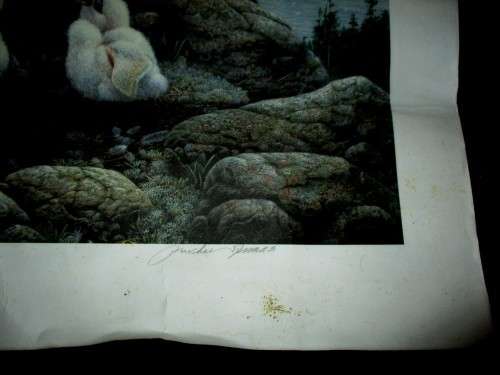 Michael Dumas signed Print