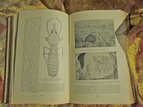 Handbook for Farmers in South Africa Volume IIi 1957