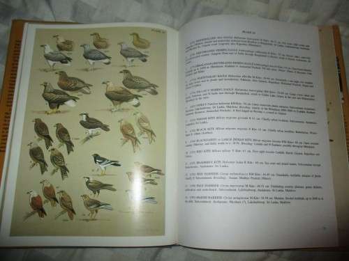 A Pictorial Guide to the Birds of the Indian Subcontinent