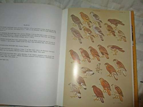A Pictorial Guide to the Birds of the Indian Subcontinent