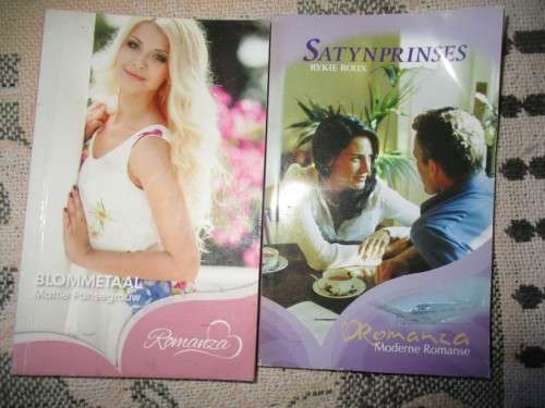 Afrikaans novels  Books x 22