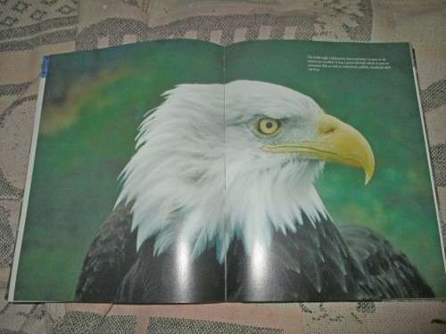Natural World