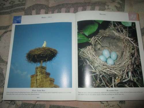 Natural World