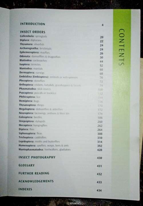 Field Guide to Insects of South Africa