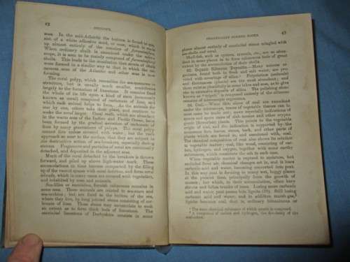First Book of Geology