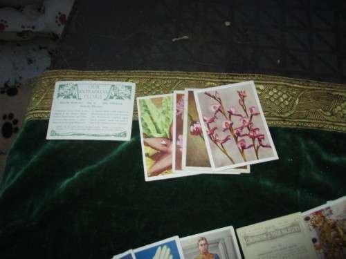 Collectors Cigarette Cards