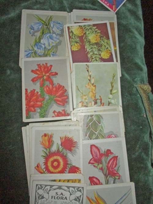 Collectors Cigarette Cards