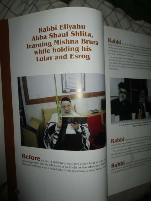 Gedolei Yisroel, Portraits of Greatness