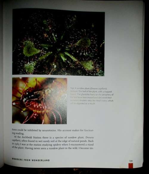 For Love of Insects