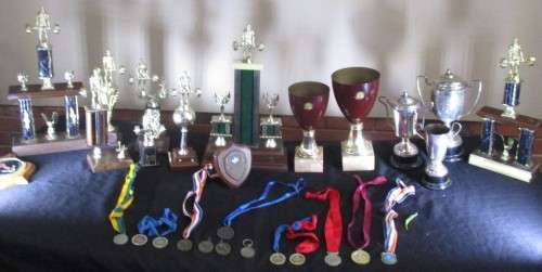 Body Building Trophies x 12 plus...
