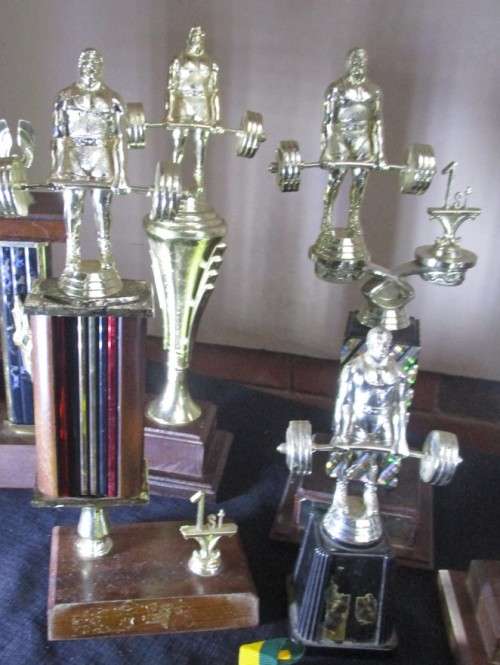 Body Building Trophies x 12 plus...