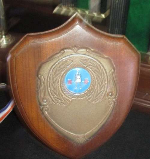 Body Building Trophies x 12 plus...