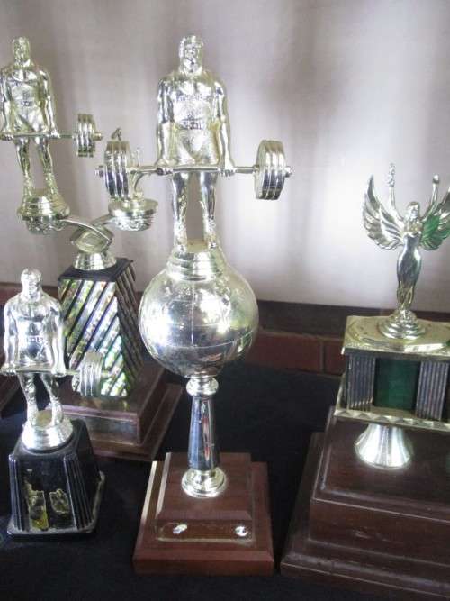 Body Building Trophies x 12 plus...
