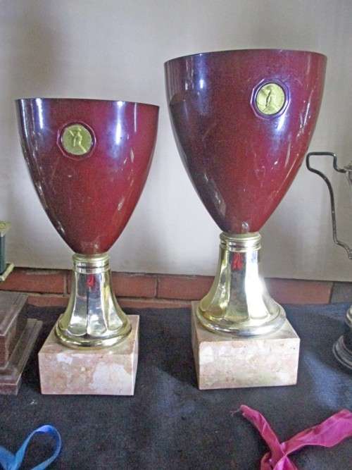 Body Building Trophies x 12 plus...