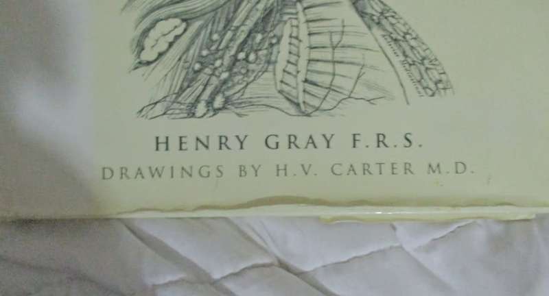 Grays Anatomy . A Facsimile