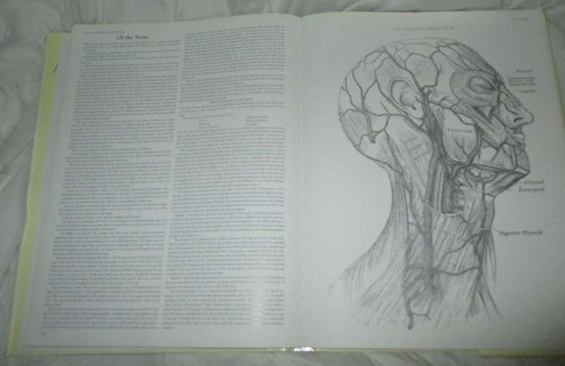 Grays Anatomy . A Facsimile
